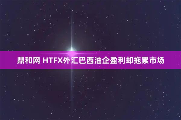 鼎和网 HTFX外汇巴西油企盈利却拖累市场