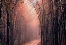 南昌股票配资:配资炒股平台推荐配资-2月3日龙虎榜复盘：航天发展净买额居首